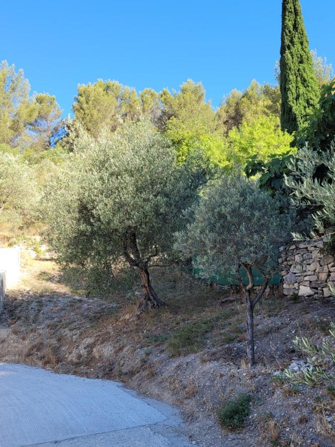 L'Oustau De Laetitia Animaux Bienvenus Βίλα Fontaine-de-Vaucluse Εξωτερικό φωτογραφία
